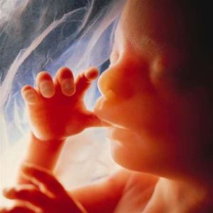 unborn baby in utero