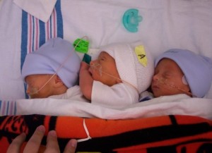 premie triplets